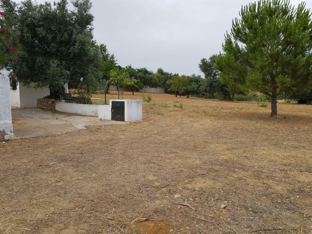 Casa rústica no monte das Oliveiras, Sta Margarida, Tavira Exterior foto